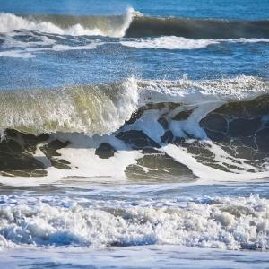 Assateague Beach