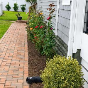 Photo #53 of 6258 CLARK ST, CHINCOTEAGUE, VA 0.2 acres