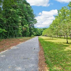 Photo #137 of 34166 BRADFORDS NECK RD, MELFA, VA 21.9 acres