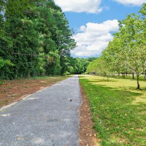 Photo #2 of 34166 BRADFORDS NECK RD, MELFA, VA 21.9 acres