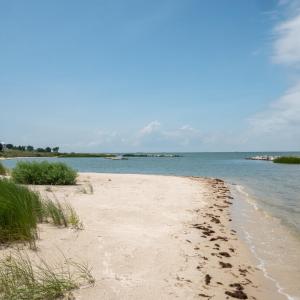 Photo #28 of 171 SUNSET BLVD, CAPE CHARLES, VA 0.2 acres
