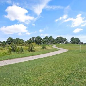 Photo #39 of 3184 MERIDIAN DR, GREENBACKVILLE, VA 65.0 acres