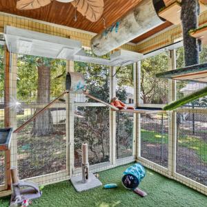 Catio