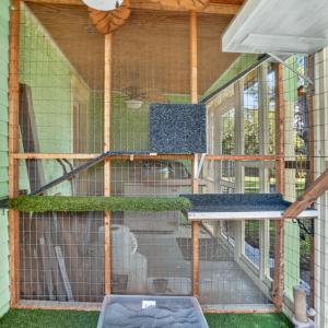 Catio