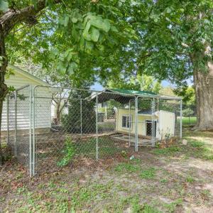 Back Yard, Door house and kennel