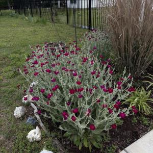 Photo #8 of 22322 PARSONS CIR, CAPE CHARLES, VA 0.5 acres