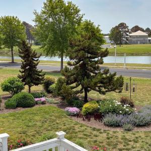 Photo #63 of 5 WATERS EDGE DRIVE, CAPE CHARLES, VA 0.3 acres