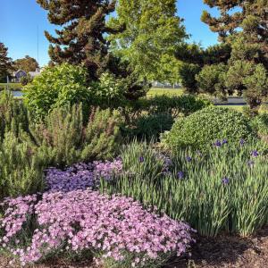Photo #65 of 5 WATERS EDGE DRIVE, CAPE CHARLES, VA 0.3 acres