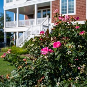 Photo #66 of 5 WATERS EDGE DRIVE, CAPE CHARLES, VA 0.3 acres