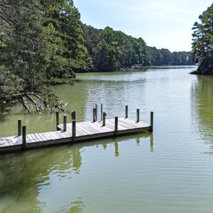 Photo #66 of 7086 LONG POINT RD, EXMORE, VA 8.5 acres