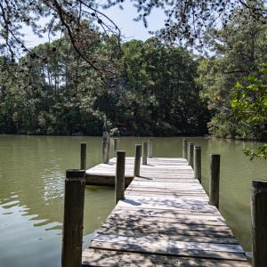 Photo #68 of 7086 LONG POINT RD, EXMORE, VA 8.5 acres