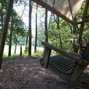 Photo #9 of 7086 LONG POINT RD, EXMORE, VA 8.5 acres
