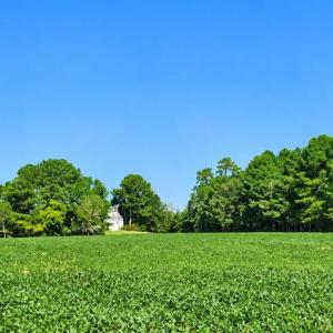 Photo #5 of 35257 CATS POINT LANE, QUINBY, VA 7.0 acres