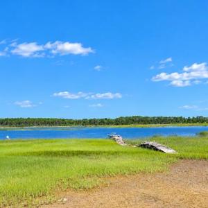 Photo #7 of 35257 CATS POINT LANE, QUINBY, VA 7.0 acres