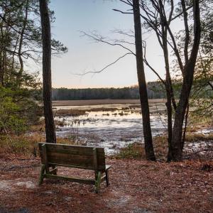 Photo #13 of Lot 1900 BUCCANEER BLVD, GREENBACKVILLE, VA 10.0 acres