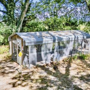 Duck/Chick coop