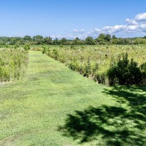 farmland