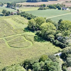 Photo #66 of 13251 NANDUA RD, PAINTER, VA 15.0 acres
