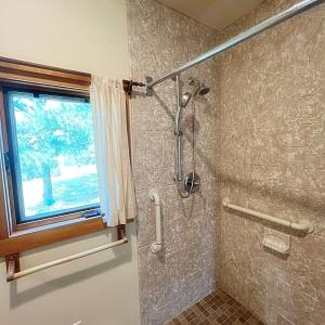 Bathroom walk in shower 2