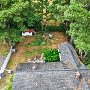 Photo #19 of 10181 PINE AVE, NASSAWADOX, VA 0.4 acres