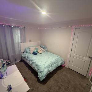 Photo #8 of 16058 OYSTER COURT, PAINTER, VA 1.1 acres