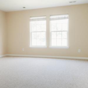 Photo #34 of 21115 CHERRYSTONE WAY, CAPE CHARLES, VA 1.0 acres