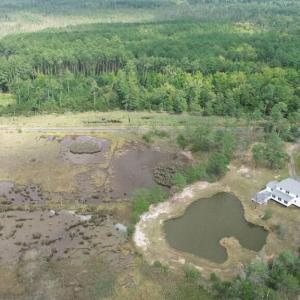Photo #37 of 13512 CATTAIL RD, MEARS, VA 49.0 acres