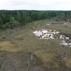 Photo #40 of 13512 CATTAIL RD, MEARS, VA 49.0 acres