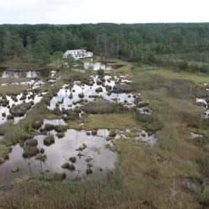 Photo #41 of 13512 CATTAIL RD, MEARS, VA 49.0 acres