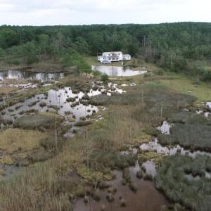 Photo #42 of 13512 CATTAIL RD, MEARS, VA 49.0 acres