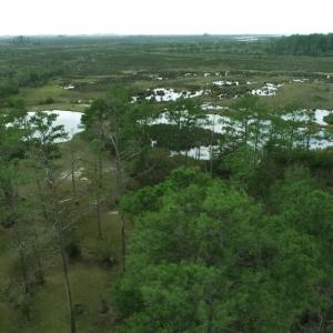 Photo #48 of 13512 CATTAIL RD, MEARS, VA 49.0 acres