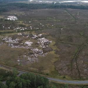 Photo #49 of 13512 CATTAIL RD, MEARS, VA 49.0 acres