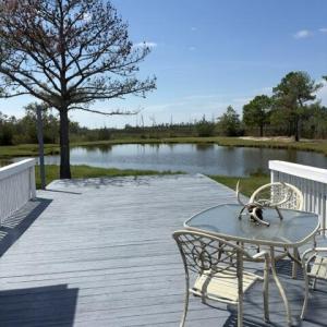 Photo #6 of 13512 CATTAIL RD, MEARS, VA 49.0 acres