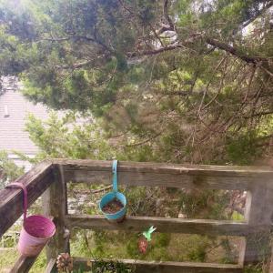 Photo #34 of 7075 BOND ST, CHINCOTEAGUE, VA 0.0 acres