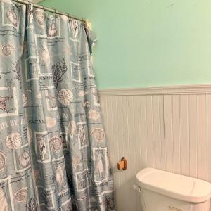 Photo #41 of 7075 BOND ST, CHINCOTEAGUE, VA 0.0 acres