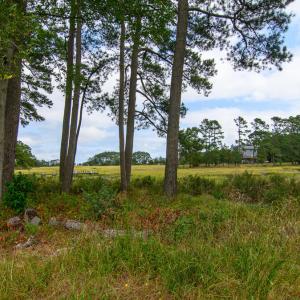 Photo #22 of 26119 JUNO COURT, ACCOMAC, VA 3.3 acres