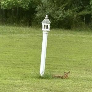 Photo #26 of 26119 JUNO COURT, ACCOMAC, VA 3.3 acres