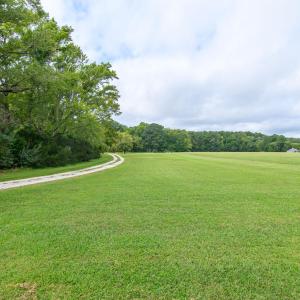 Photo #5 of 26119 JUNO COURT, ACCOMAC, VA 3.3 acres