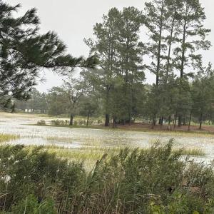 Photo #63 of 26119 JUNO COURT, ACCOMAC, VA 3.3 acres