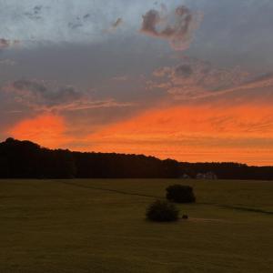 Photo #66 of 26119 JUNO COURT, ACCOMAC, VA 3.3 acres