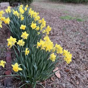 Photo #4 of 27202 SEASIDE RD, CAPE CHARLES, VA 0.5 acres