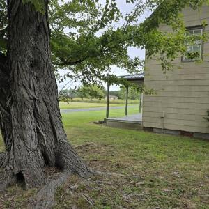 Photo #13 of 12200 HACKSNECK RD, HACKSNECK, VA 1.0 acres