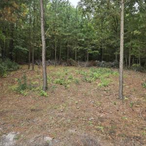 Photo #15 of 12216 HACKSNECK RD, HACKSNECK, VA 0.8 acres