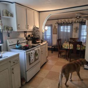 Photo #2 of 12216 HACKSNECK RD, HACKSNECK, VA 0.8 acres