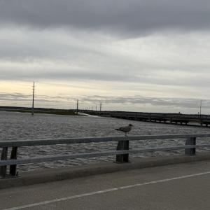 Photo #79 of 6139 MARSH ISLAND DR, CHINCOTEAGUE, VA 0.0 acres