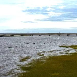 Photo #81 of 6139 MARSH ISLAND DR, CHINCOTEAGUE, VA 0.0 acres