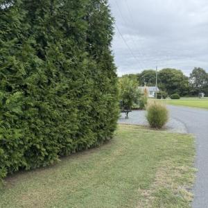 Photo #8 of 31402 CURRATUCK RD, PAINTER, VA 1.0 acres