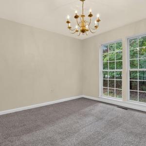 Photo #10 of 4069 CAPTAINS CORRIDOR, GREENBACKVILLE, VA 65.0 acres