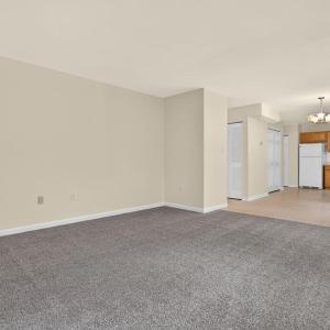 Photo #14 of 4069 CAPTAINS CORRIDOR, GREENBACKVILLE, VA 65.0 acres