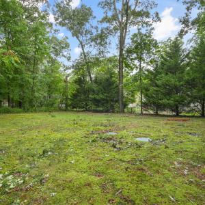 Photo #36 of 4069 CAPTAINS CORRIDOR, GREENBACKVILLE, VA 65.0 acres